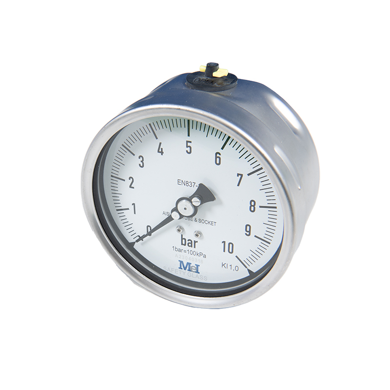 Edelstahlmanometer Ø 100 Edelstahlmanometer Ø 100