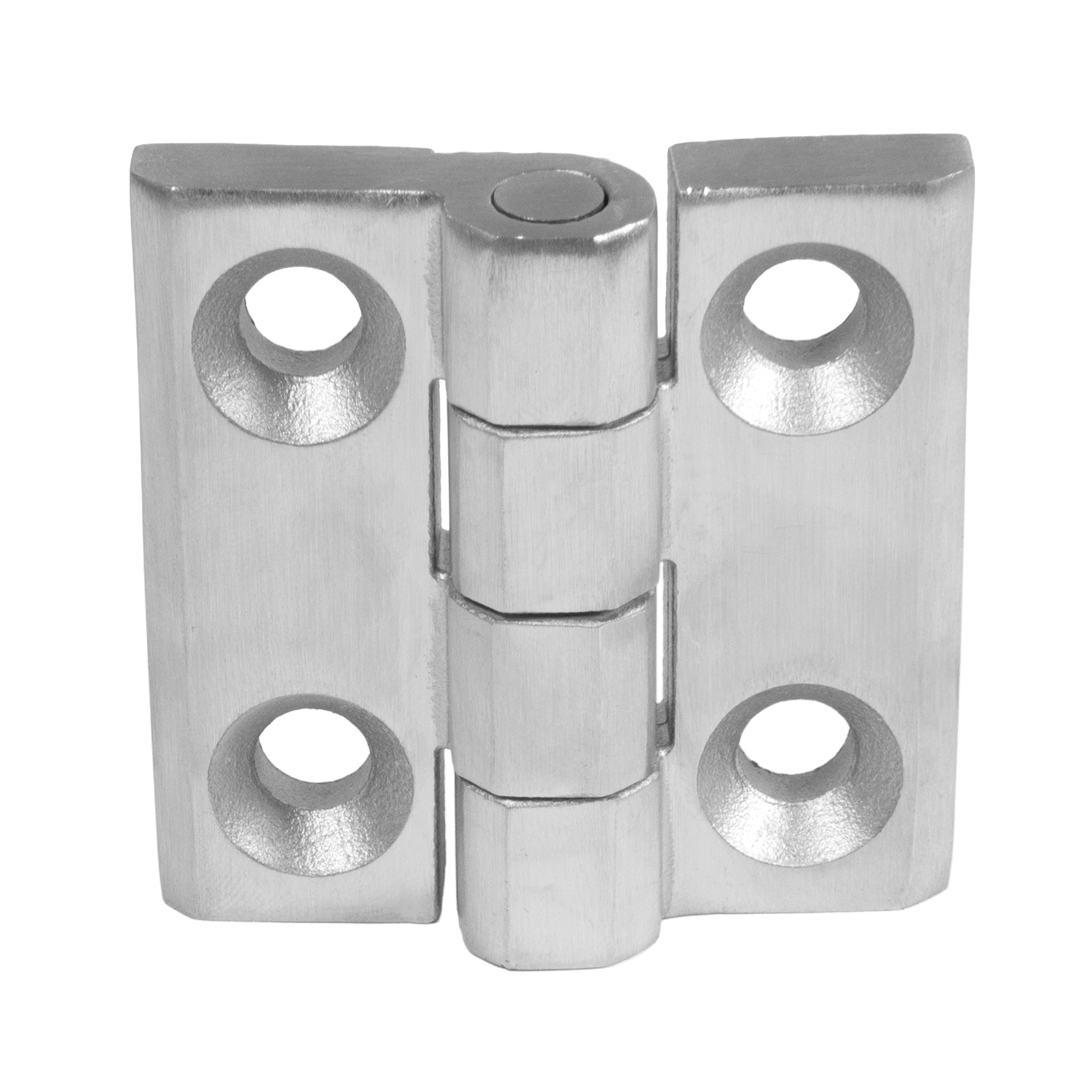 Edelstahl Torscharnier 60x60 V4A - blank