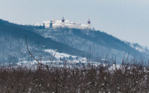 Weingut Dockner