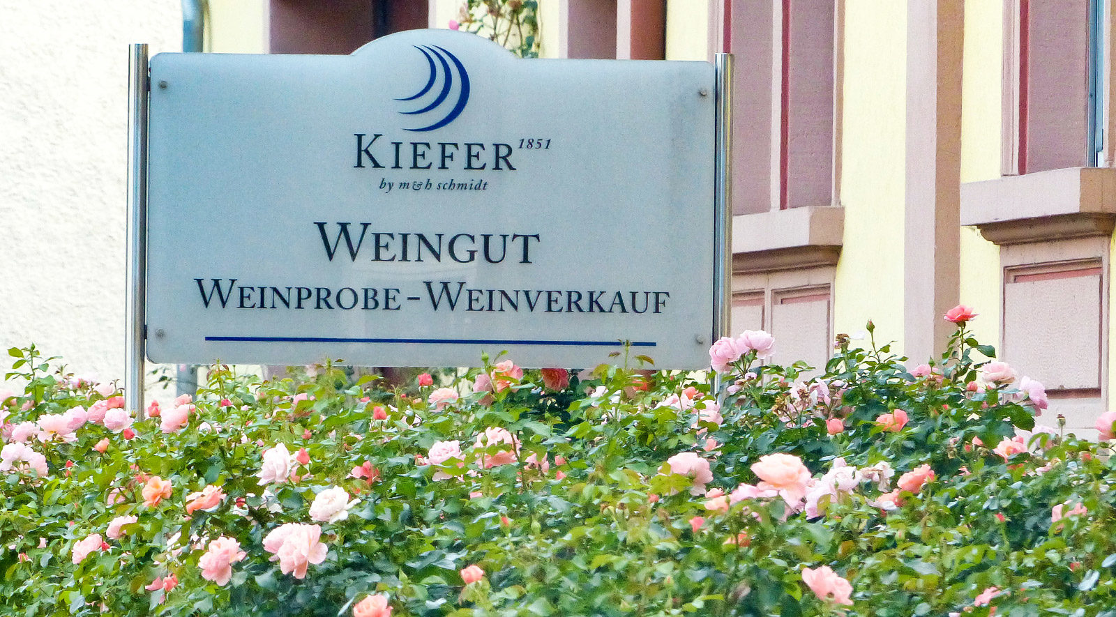 Weingut Kiefer