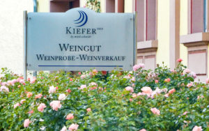 Weingut Kiefer