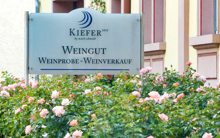 Weingut Kiefer