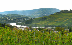 Weingut Herber