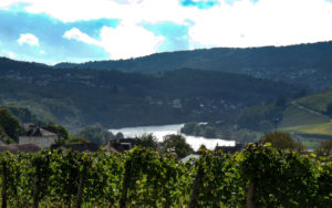 Weingut Herber