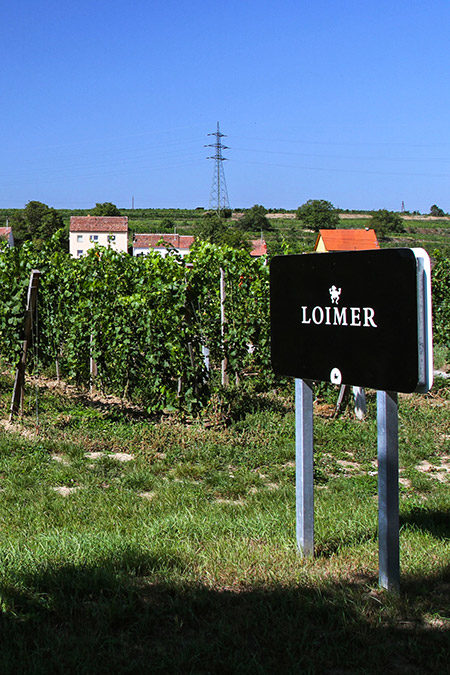 Weingut Loimer