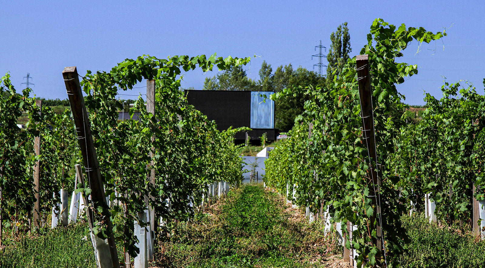 Weingut Loimer