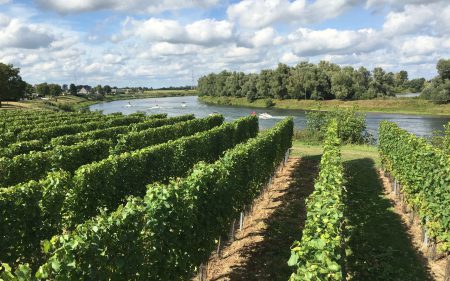 Weingut Aldeneyck Belgien