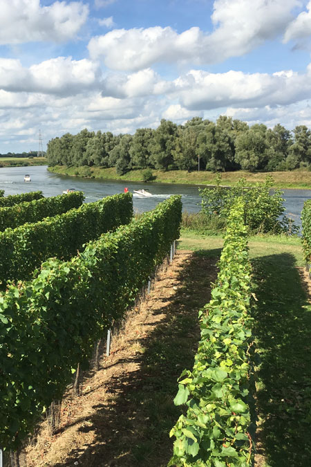 Weingut Aldeneyck Belgien