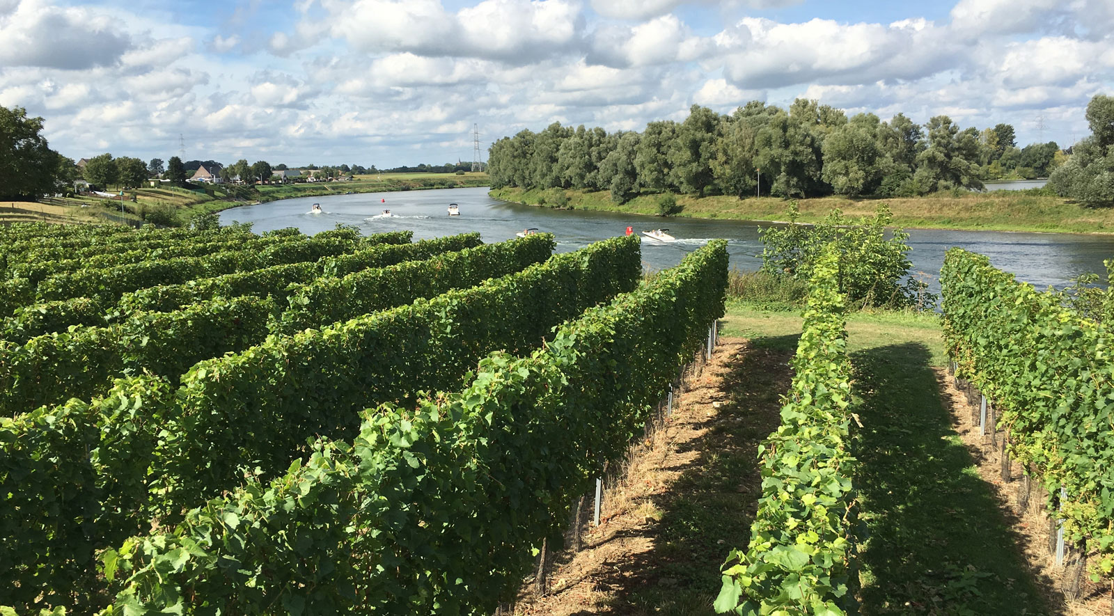 Weingut Aldeneyck Belgien